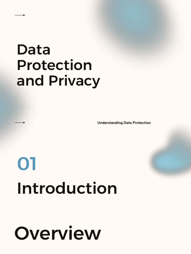 Data Protection and Privacy Overview | PDF | Computer Security | Security