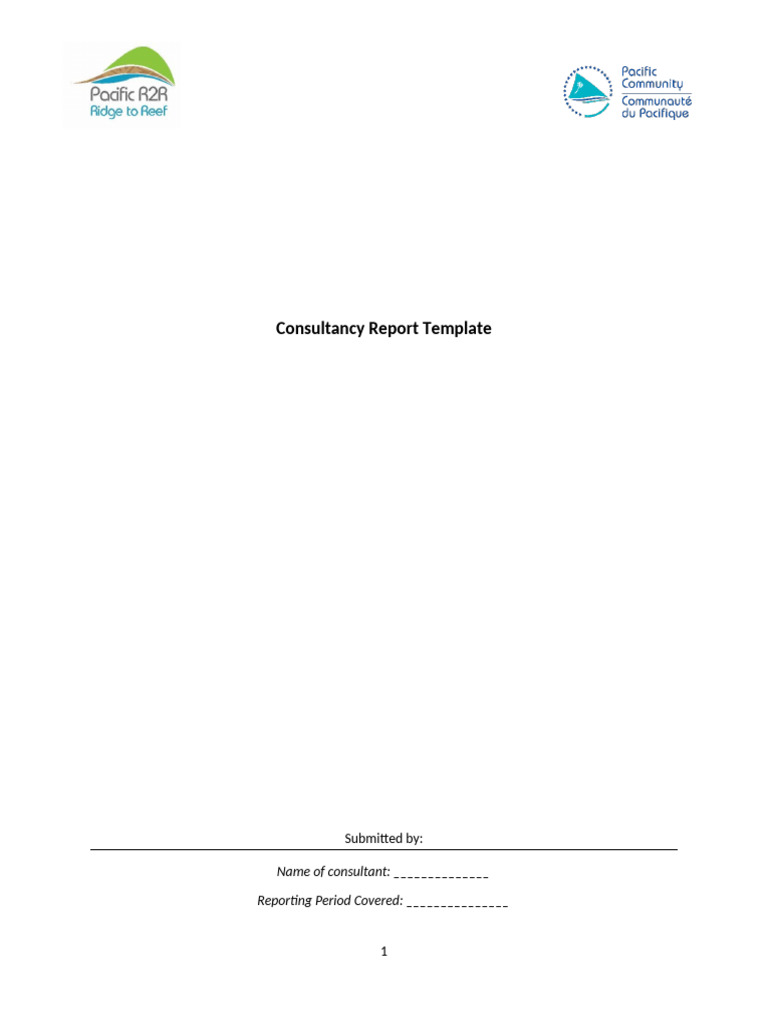 Consultancy Report Template Guide | PDF