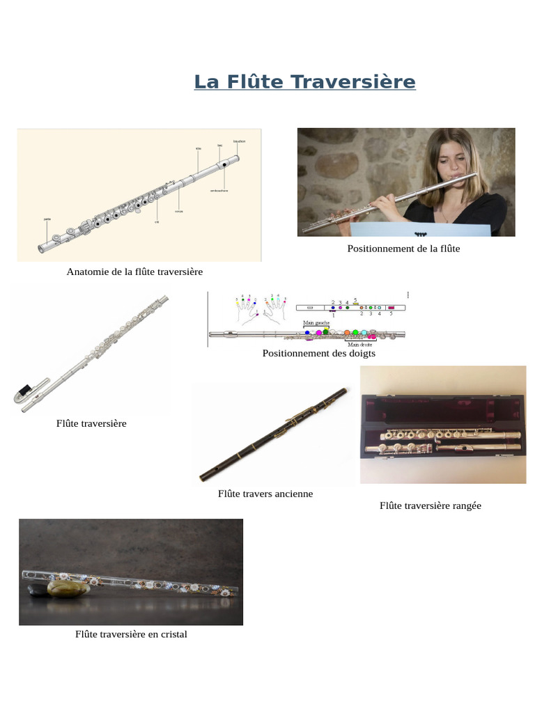 apprendre-la-fl-te-traversi-re-vosges-pdf