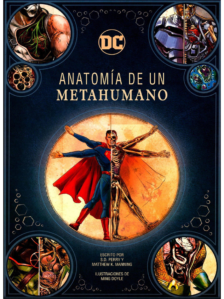 Anatomy of A Metahuman | PDF