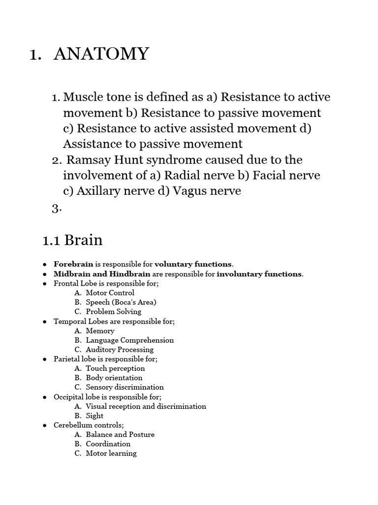 Brain Anatomy and Function Overview | PDF | Cerebellum | Aphasia