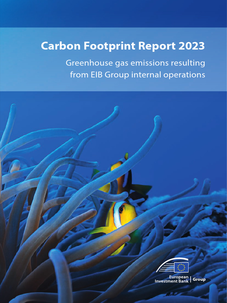 Carbon Footprint Report 2023 en | PDF | Carbon Footprint