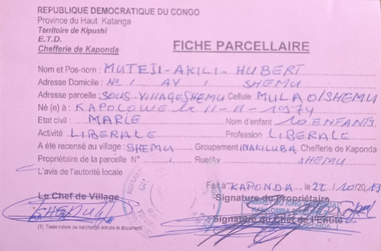Fiche Parcellaire en RDC: Exemples et État | PDF