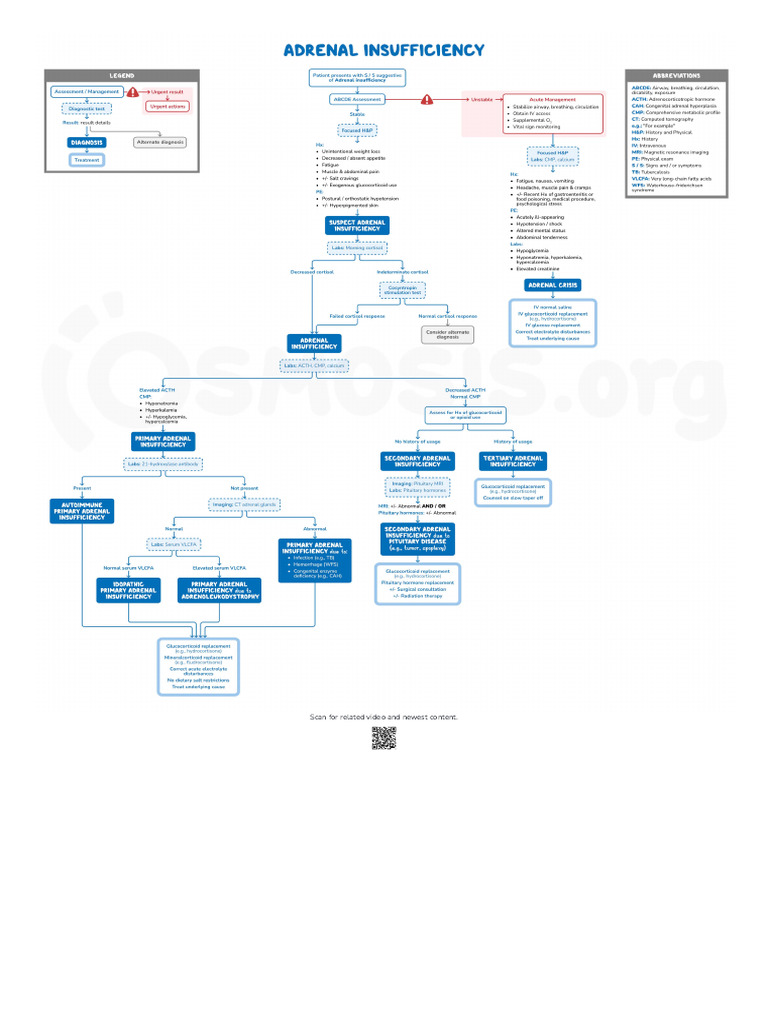 Adrenal Insufficiency - Clinical Sciences - Video - Osmosis | PDF
