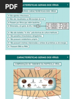 Características Gerais dos Vírus