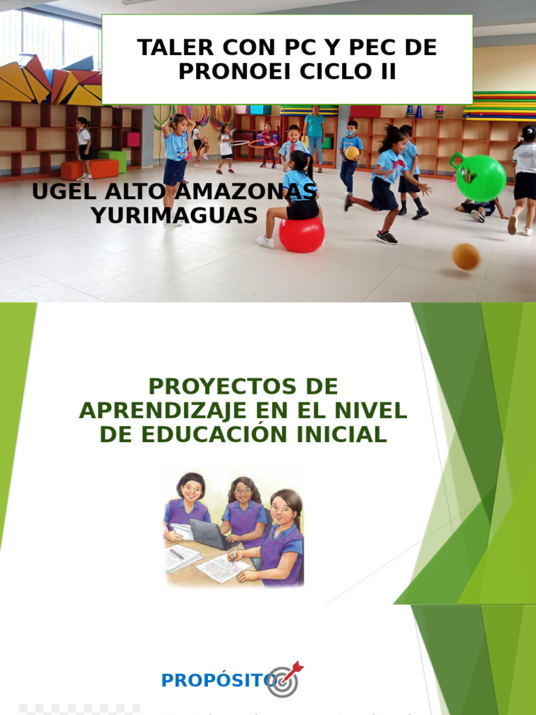 Proyectos de Aprendizaje en Educación Inicial | PDF | Aprendizaje ...