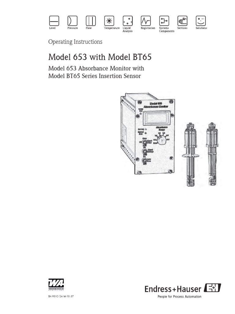 Endress Hauser Model 653 With Model Bt65 | PDF | Absorbance | Computer ...