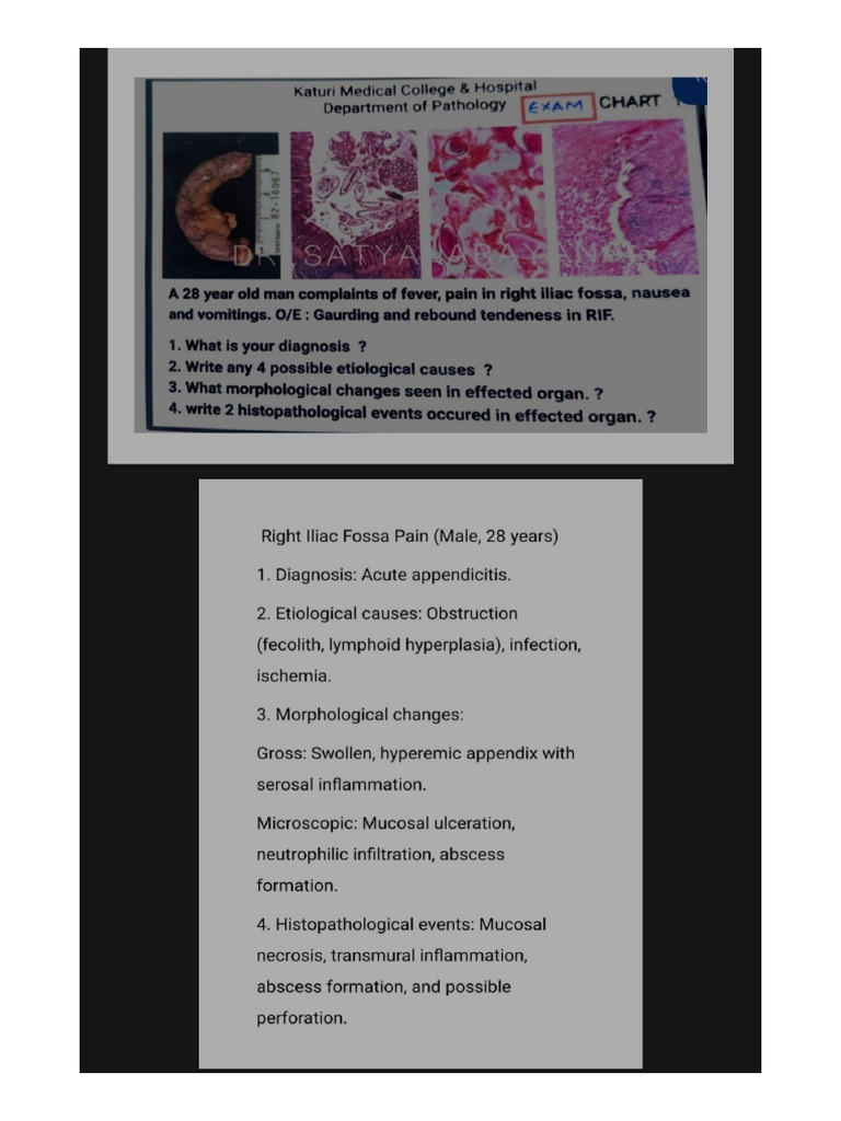 Osce Charts Pathology Practical | PDF