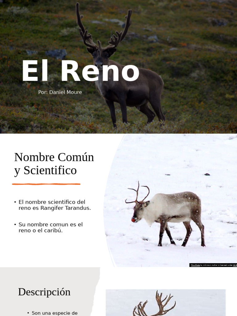 El Reno | PDF