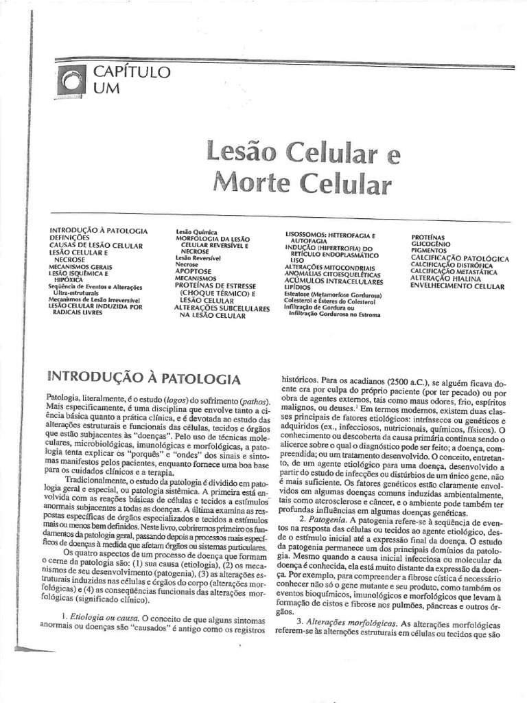 Sebenta Patologia | PDF