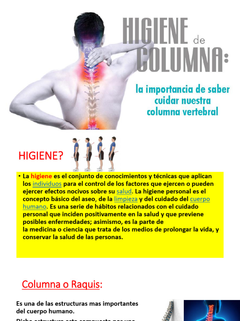 Cuidados para la Columna Vertebral | PDF | La columna vertebral | Vértebra