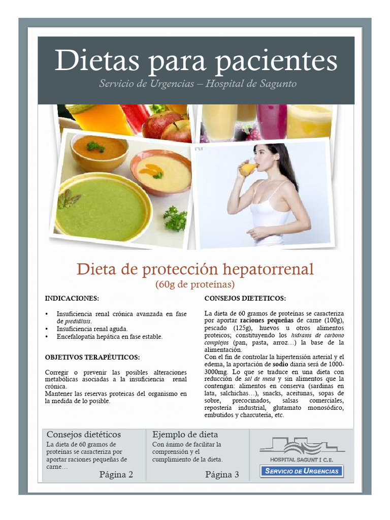 Dieta Hepatorrenal: 60g de Proteínas | PDF | Dieta | Cocinando