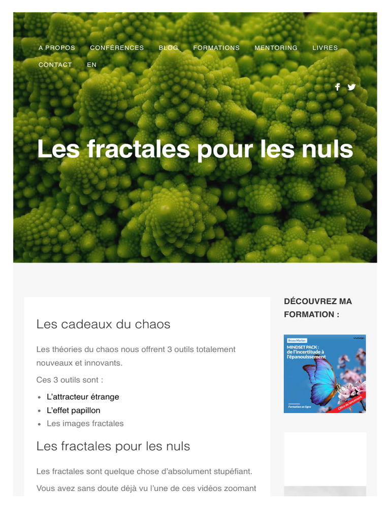 Fractales : beauté et complexité infinie | PDF | Fractale | Isaac Newton