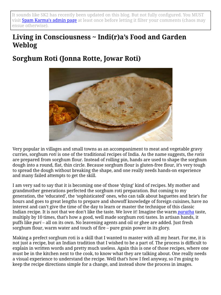 Jonna Rotte: Traditional Sorghum Roti Recipe | PDF | Chickpea | Edible ...