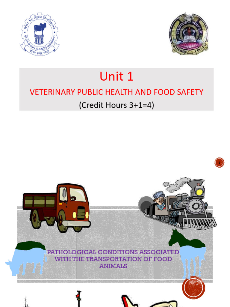 Food Animal Transport Pathology Overview | PDF | Sheep | Diseases And ...