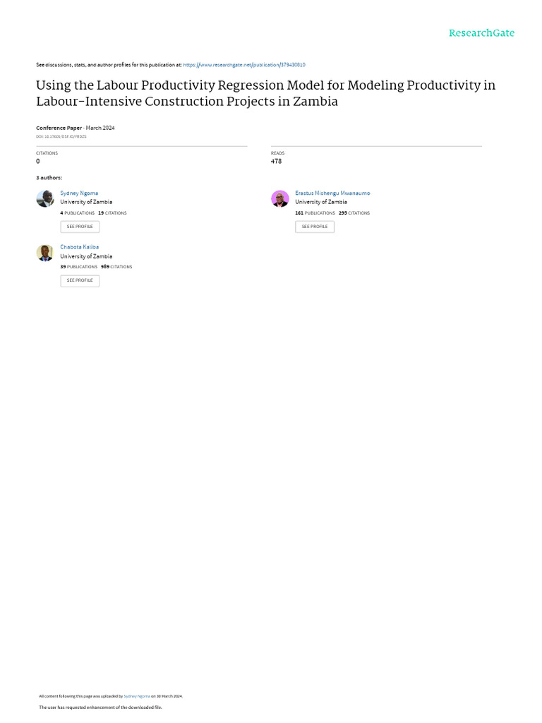 Labour Productivity in Zambian Construction | PDF | Workforce ...