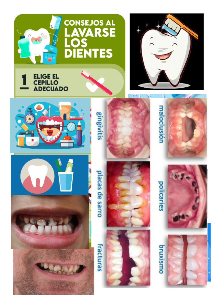higiene bucal | PDF