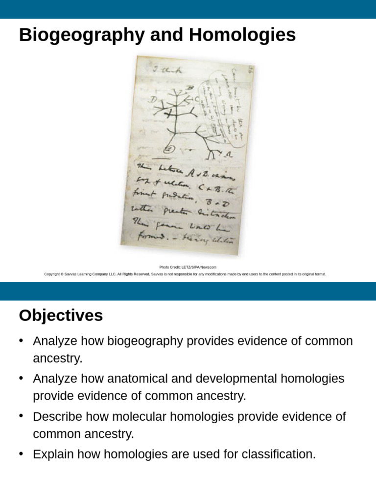 BIology Chapter 10.2 | PDF | Homology (Biology) | Evolutionary ...