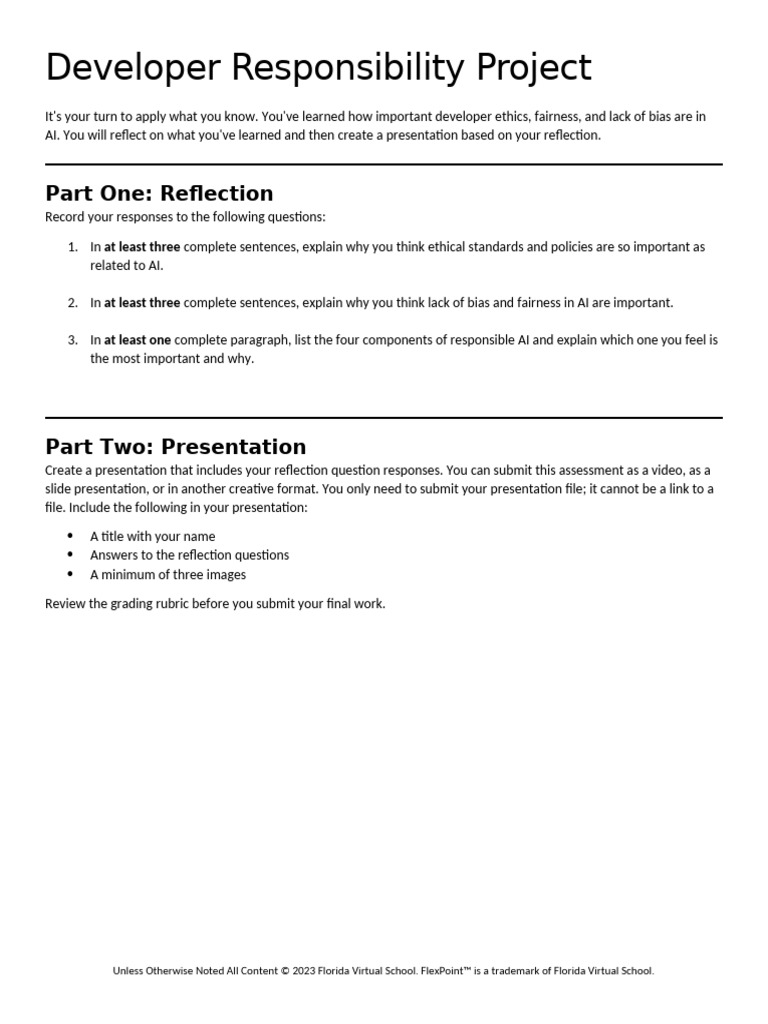 Developer Responsibility Project | PDF