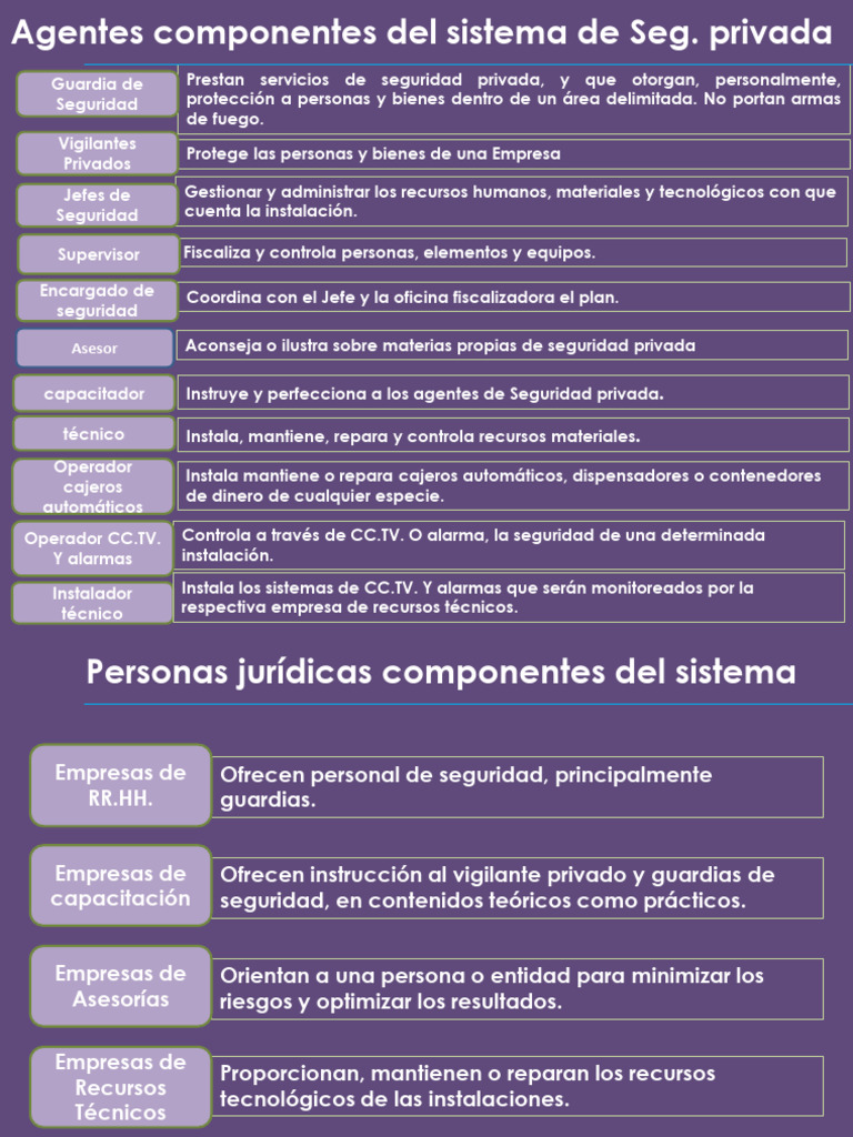 Componentes de la Seguridad Privada | PDF | Business | Valores