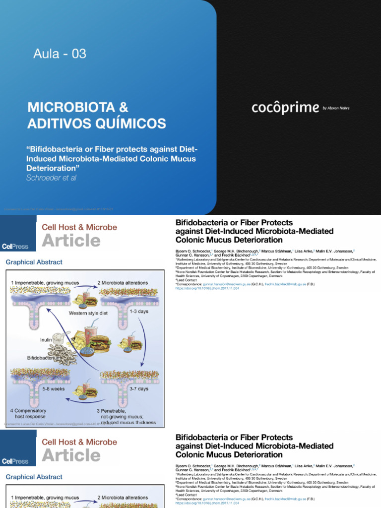 Coco Prime 003 | PDF