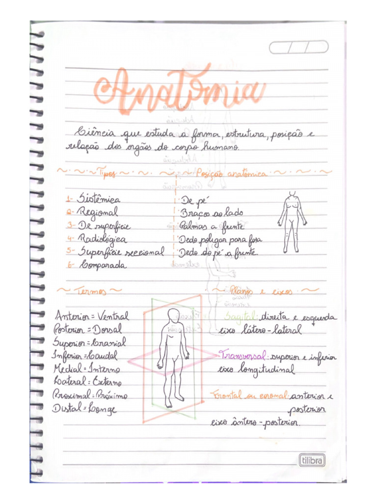ANATOMIA PDF DOWNLOAD visual data 4