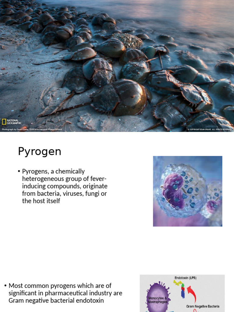 Understanding Pyrogens and Endotoxins | PDF | Fever | Lipopolysaccharide