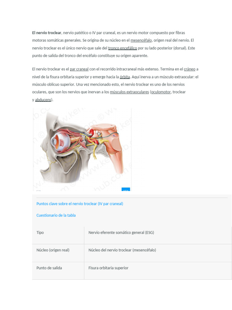 Anatomía del Nervio Troclear y Trigémino | PDF | Sistema nervioso ...