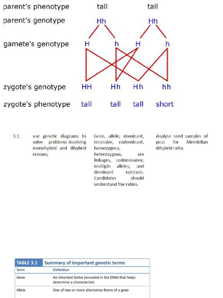Genetics | PDF