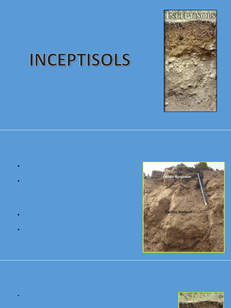 Inceptisols y Aquepts: Características y Formación | PDF | Pradera ...