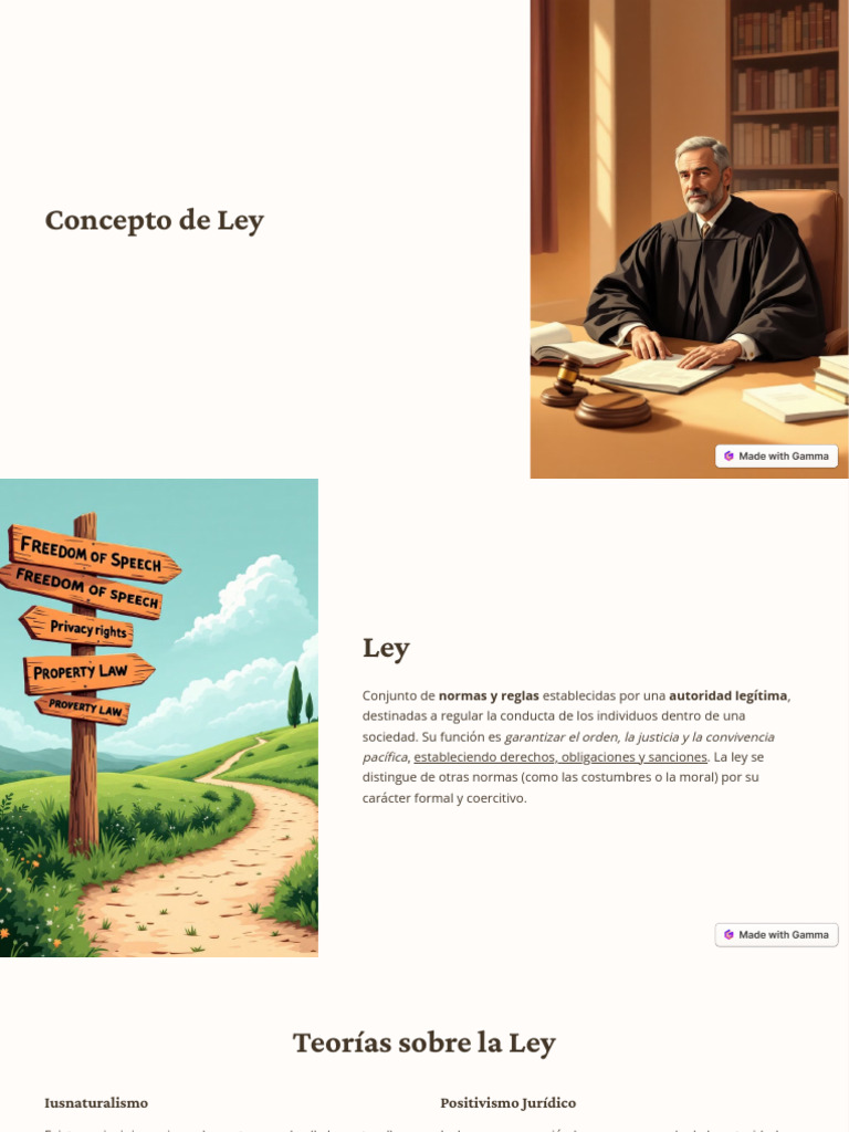 Concepto y Teorías de la Ley | PDF | La Ley natural | Jurisprudencia