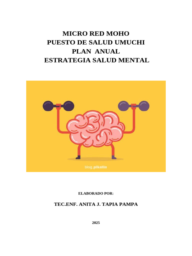 Plan Anual Salud Mental 2025 Umuchi | PDF | Salud mental | Trastorno mental