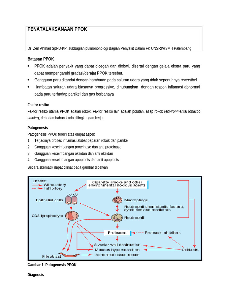 Penatalaksanaan dan Diagnosis PPOK | PDF
