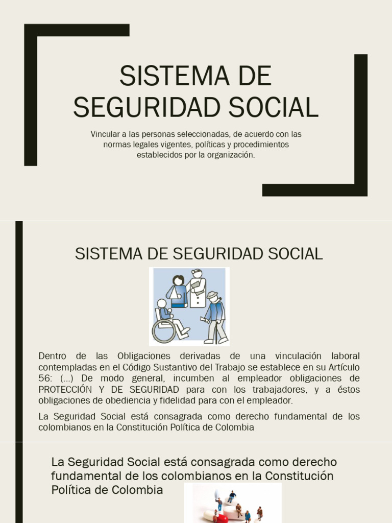 documento-comolementario-sistema-de-seguridad-social-pdf-pensi-n