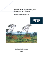 Recuperação de Áreas Degradadas Pela Mineração No Cerrado - Rodrigo Studart