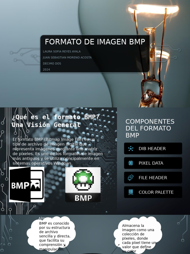 Formato de Imagen BMP | PDF | Píxel | Informática