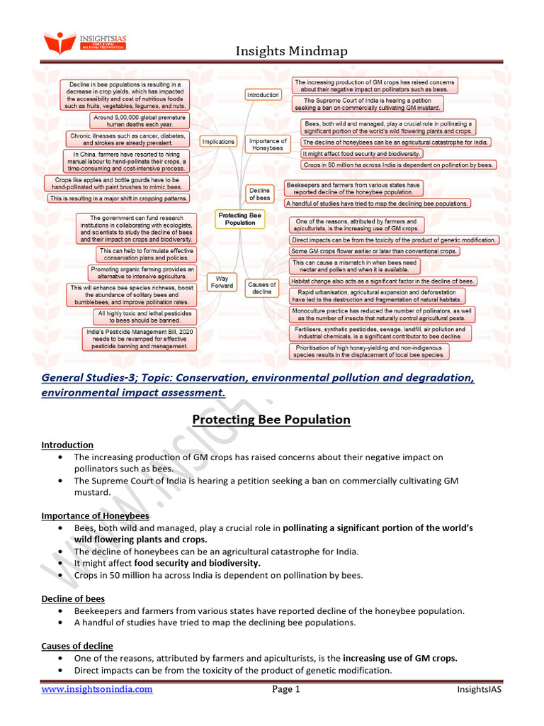 Insights Mindmap - Protecting-Bee-Population | PDF