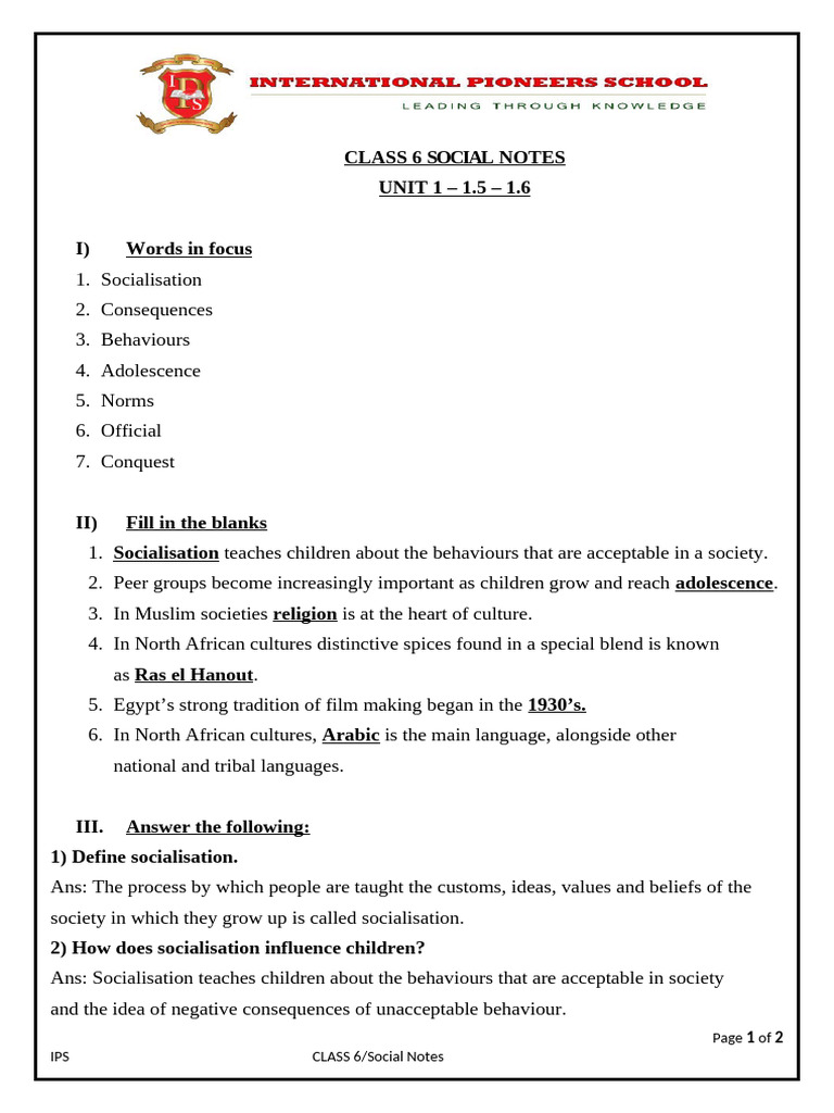 Socialisation and Cultural Insights | PDF