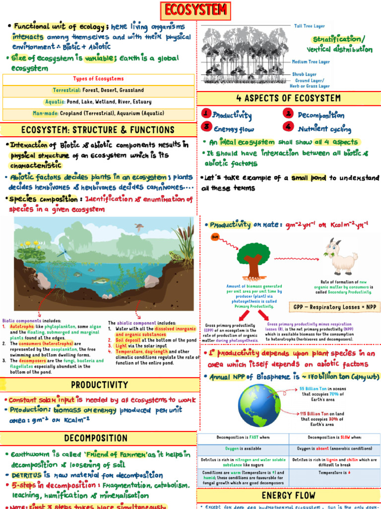 Ecosystem | PDF