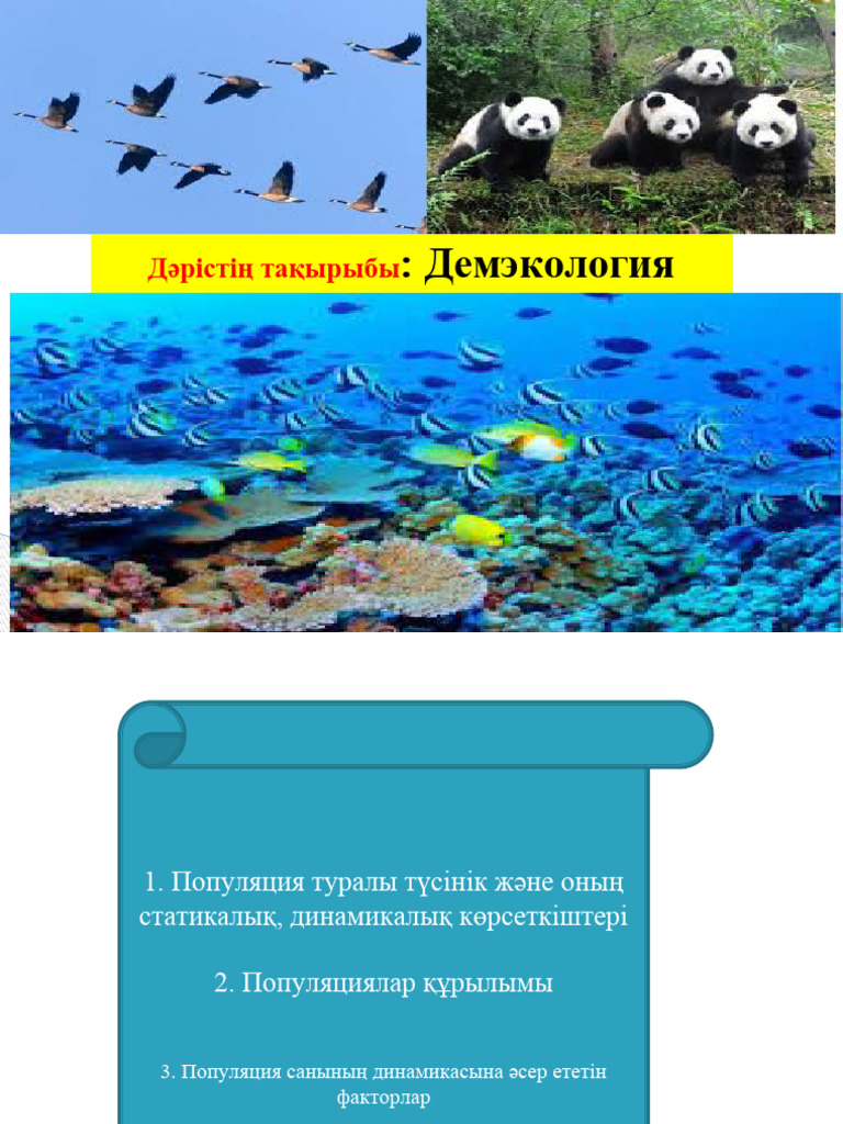 Жыныстық позициялардағы бөлшектердің сипаттамасы адамдардың пікірлері