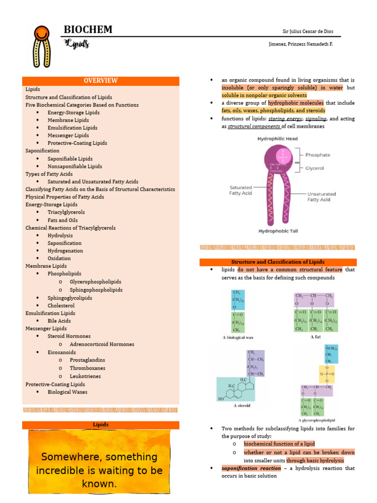 Comprehensive Guide to Lipids and Fatty Acids | PDF | Lipid | Triglyceride