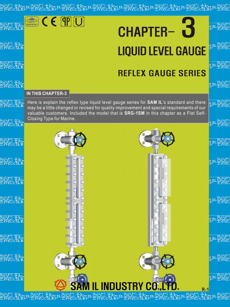 Reflex Liquid Level Gauge Overview | PDF | Glasses | Transparent Materials