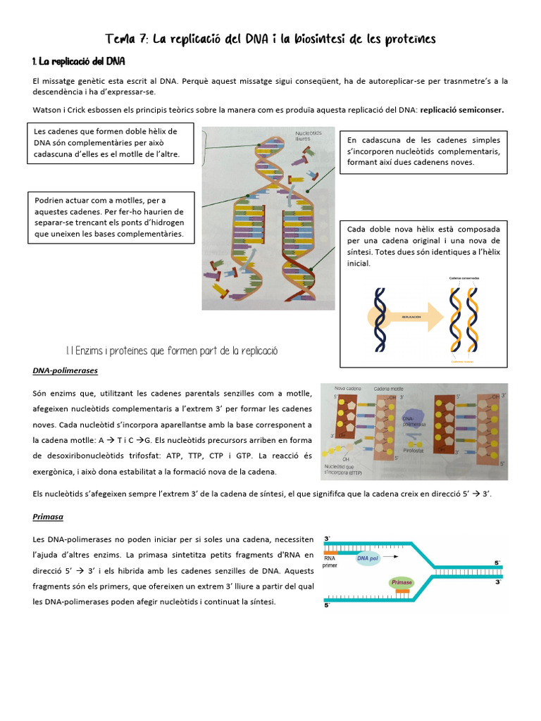 Tema 7. BIO | PDF
