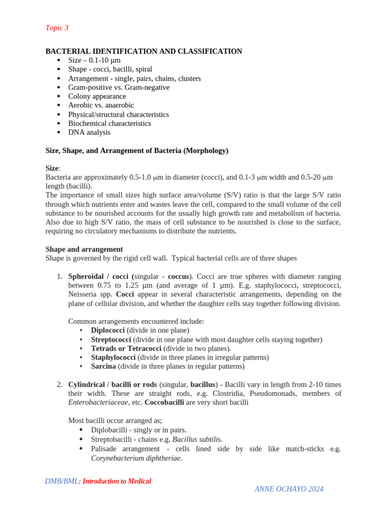 Bacterial Identification and Classification Guide | PDF | Bacteria ...