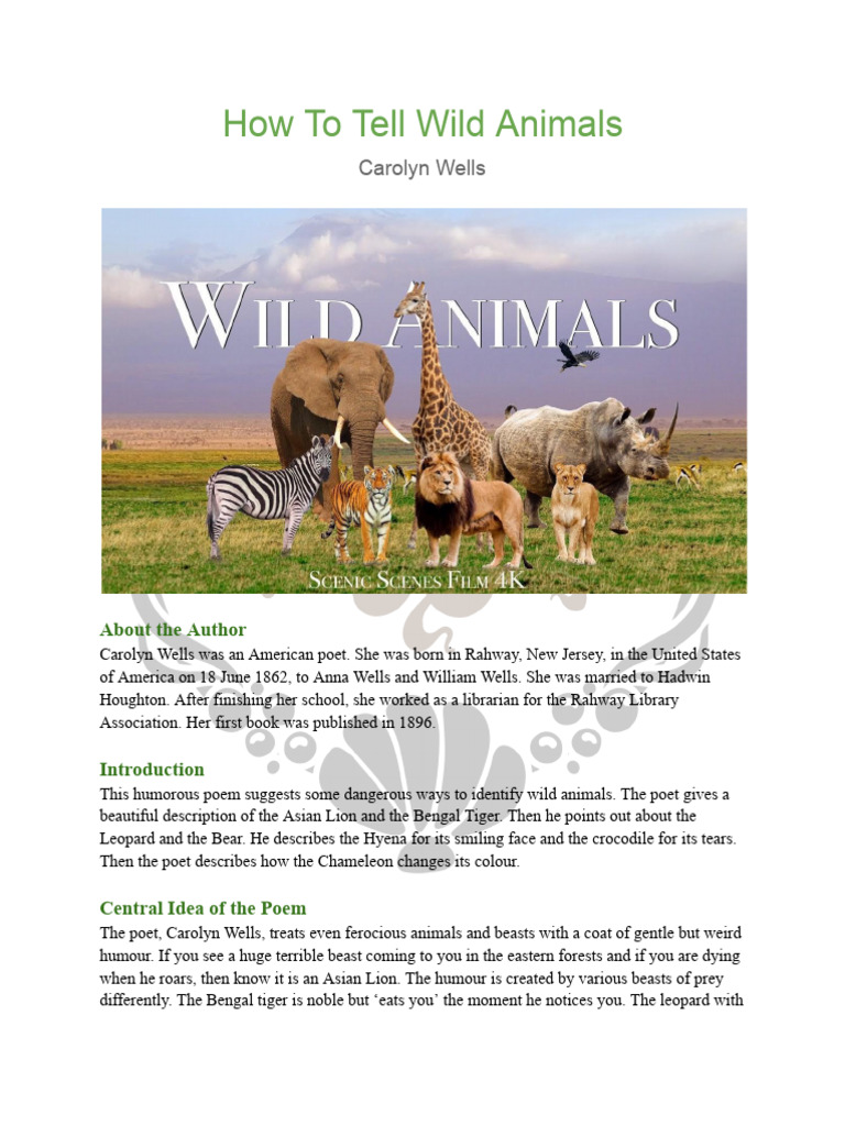 Identifying Wild Animals Humorously | PDF | Poetry | Tiger