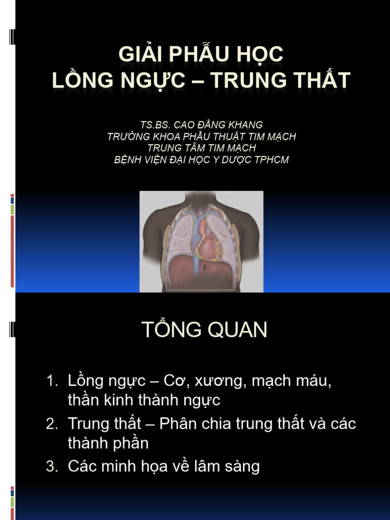 Anatomy - Thorax N Mediastinum | PDF