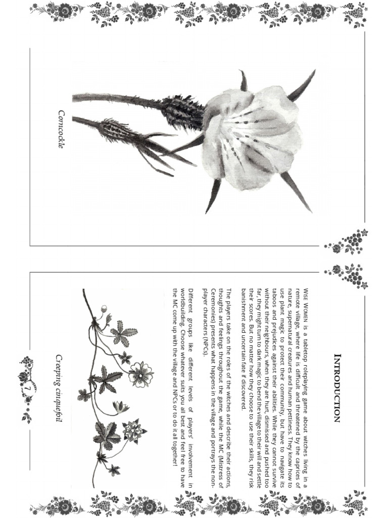 Wise Women Corebook Typeset | PDF | Witchcraft | Prejudices