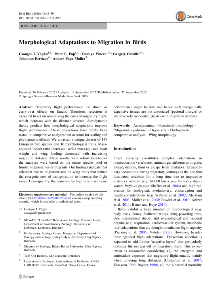 Morphological Adaptations To Migration in Birds | PDF | Bird Migration ...