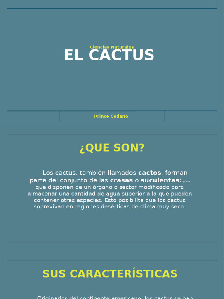 Ventajas y cuidados del cactus | PDF
