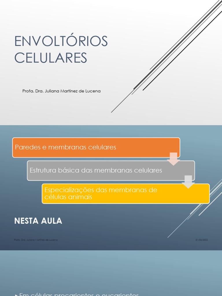 Estruturas e Funções dos Envoltórios Celulares | PDF | Membrana celular ...